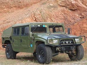 国产经典,传承与创新的艺术瑰宝